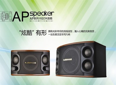 派對屋AP系列卡拉OK音箱_聊城音響_聊城雷石點(diǎn)歌系統(tǒng)_聊城寶迪奧音響_聊城市匯聲音響設(shè)備