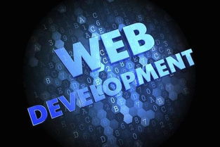 數字時代的黃金賽道 為何計算機軟件開發仍是“最有前途”的專業之選？