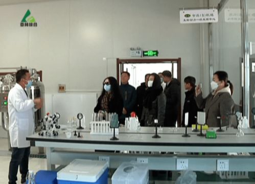 強強聯手謀發展，益生菌養殖產業迎來新機遇——龍江食品集團等企業赴亞布力林業局考察